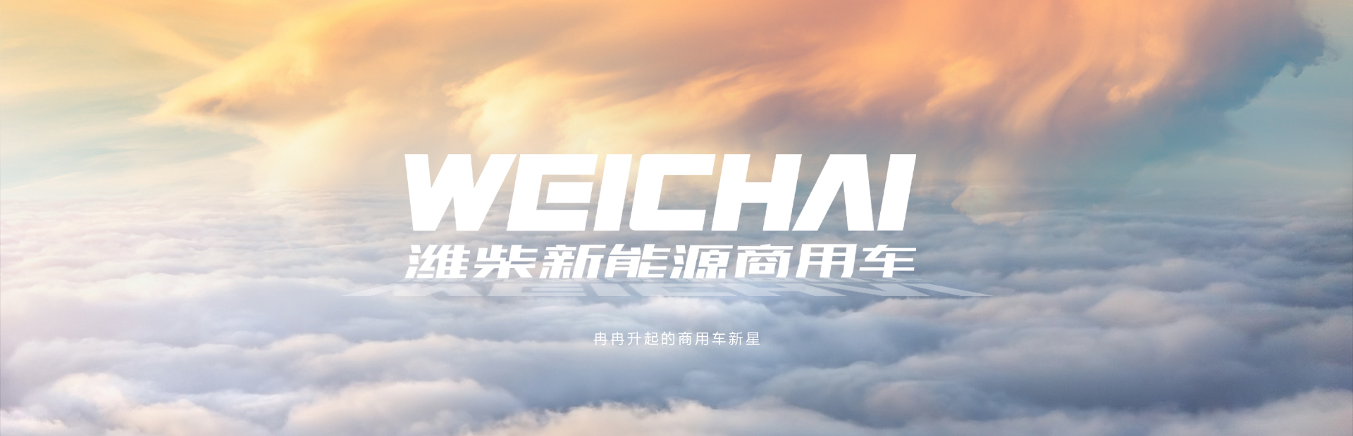 公司介绍
