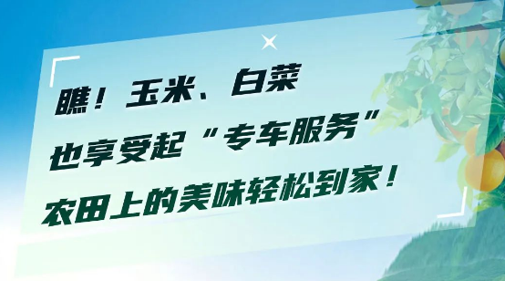 瞧！玉米、白菜也享受起“专车服务”，农田上的美味轻松到家！